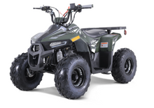 RIVAL HAWK 110cc ( Youth ATV Rental – Safe, Fun - Perfect for Kids )