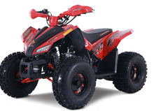 DENAGO TRAILHAWK 120CC ATV (CALL FOR PRICING/ AVAILABILITY)