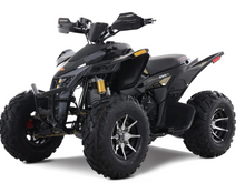 DENAGO DAYTONA 250FI ATV (CALL FOR PRICING/ AVAILABILITY)